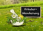 Logo Kräuterwanderung